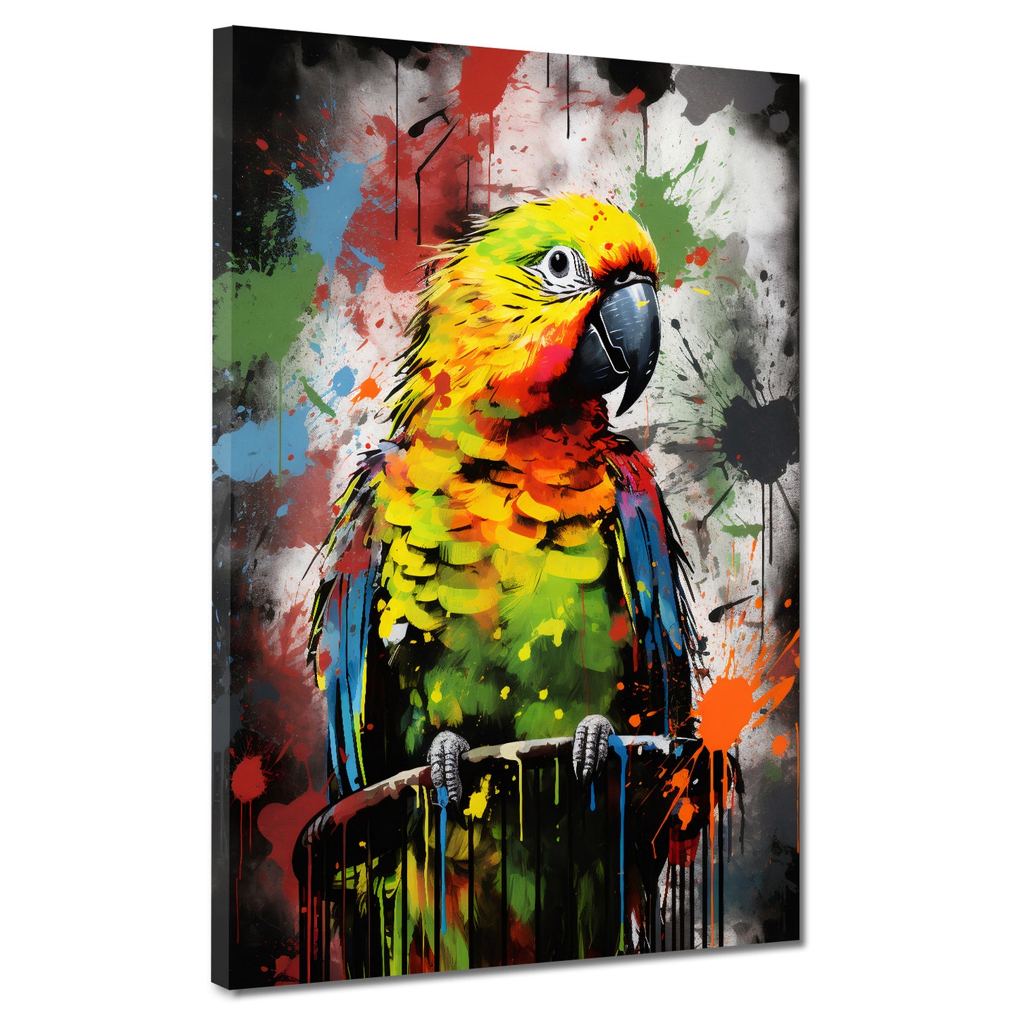 Street Art schöner bunter Papagei Wandbild Kunstwerk