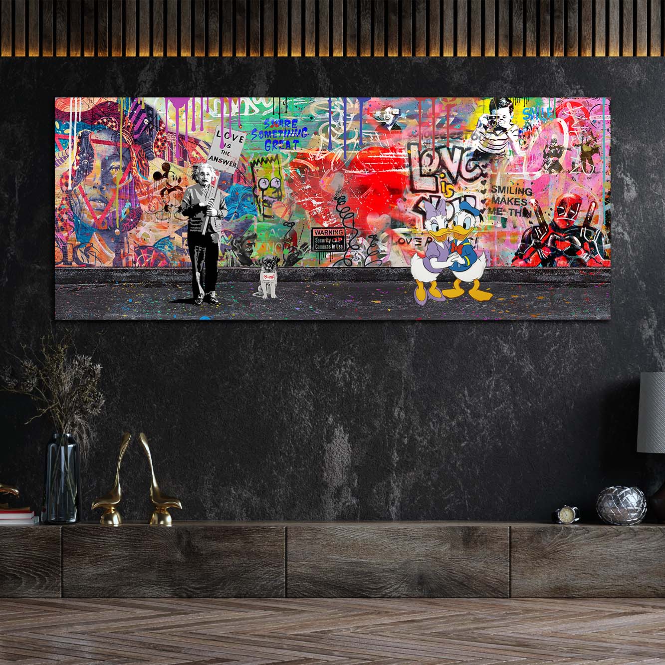 Graffiti Kunstwerk Duck & Einstein Wandbild