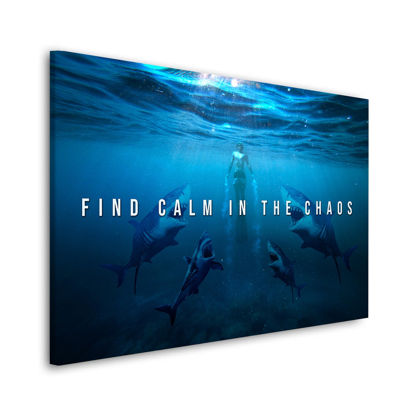 Haie Find Calm In The Chaos, Motivation Wandbild Kunstwerk
