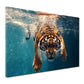 Wandbild Kunstwerk Tiger Kraft Tiermotiv Wasser Dynamik modern