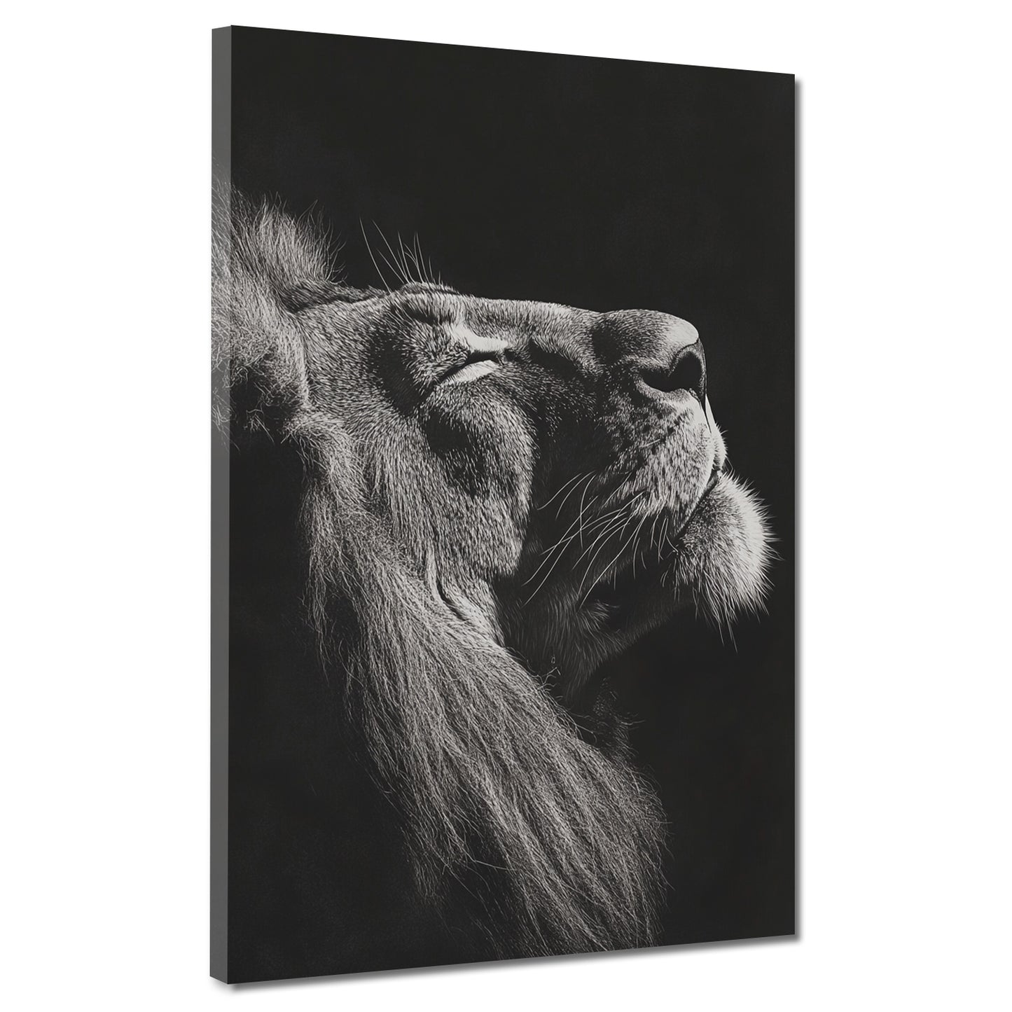 Löwe Schwarz Weiß Porträt Stärke Wandbild