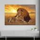 Löwenpaar im Sonnenuntergang Liebe Natur Wandbild