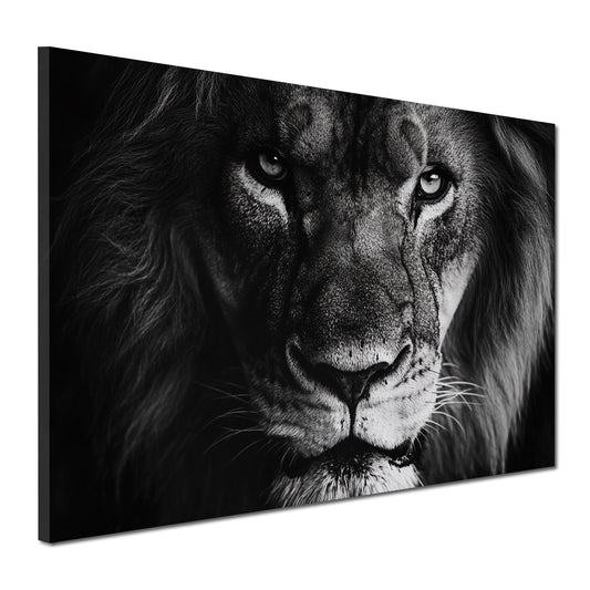 Majestätisches Tiermotiv Raubkatze schwarz weiß Wandbild