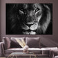 Majestätisches Tiermotiv Raubkatze schwarz weiß Wandbild