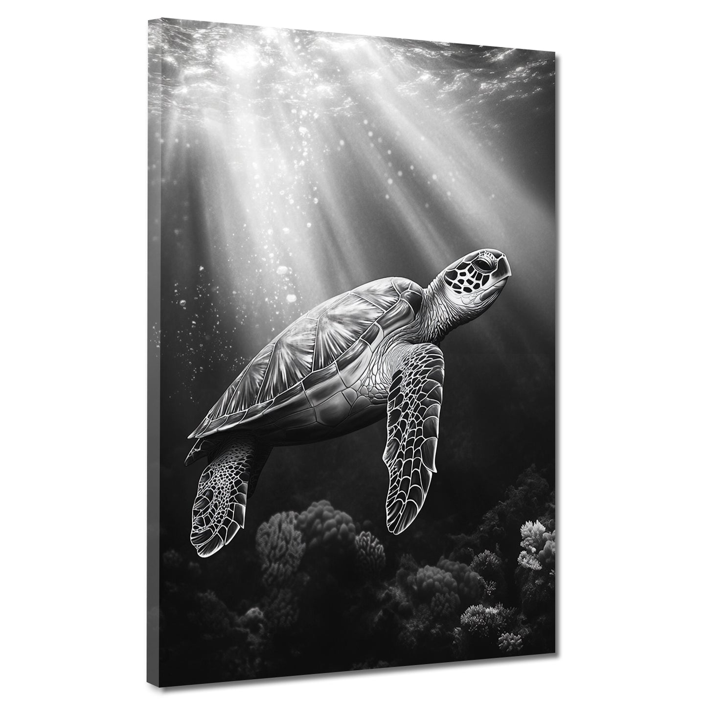 Schildkröte Unterwasser Lichtspiel schwarz weiß Wandbild