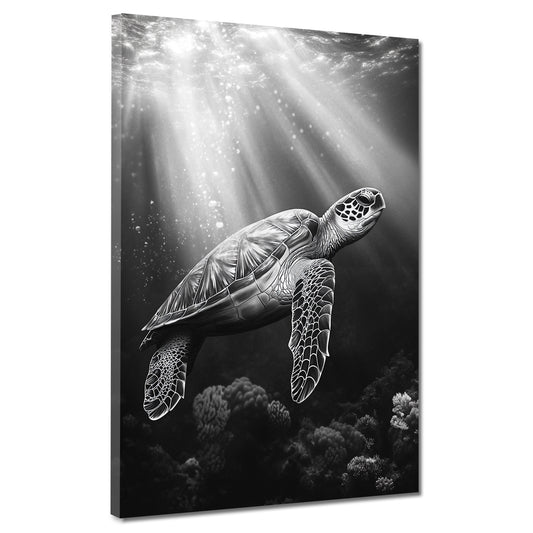 Schildkröte Unterwasser Lichtspiel schwarz weiß Wandbild